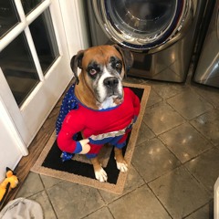 Never Let Me Down (David Bowie Cover)