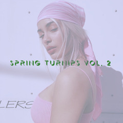 Spring Turnups Vol. 2