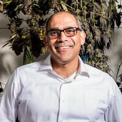 Adrian Sedlin - CEO of Canndescent