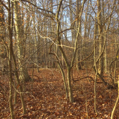 neon lights made me depressed