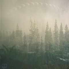 J. born Mandez - NULL(f. wylli J)