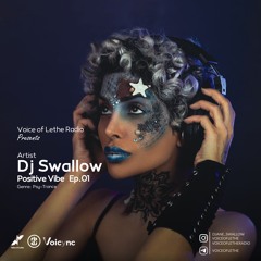 Dj Swallow - Positive Vibe Ep.01