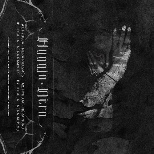Lost In Ether | P R E M I E R E |  Hyggja - Nėra Jausmų [Lethal Curse]