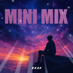 BRAK - MINI MIX