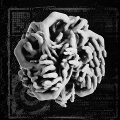 TC Premiere: Crystal Geometry - FCKTHNZS [ BPitch ]