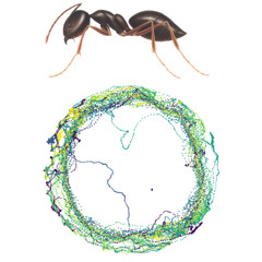 Who knew termites can jam