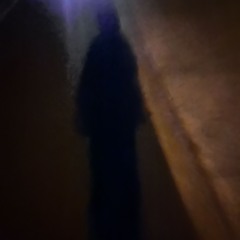 the bitch who cried wolf(ft. gro)