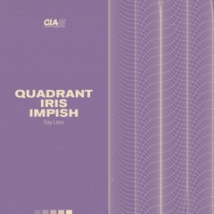 Quadrant, Iris & Impish - Say Less