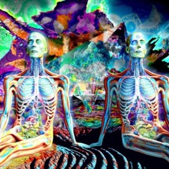 TRIP ON ACID  PART 1