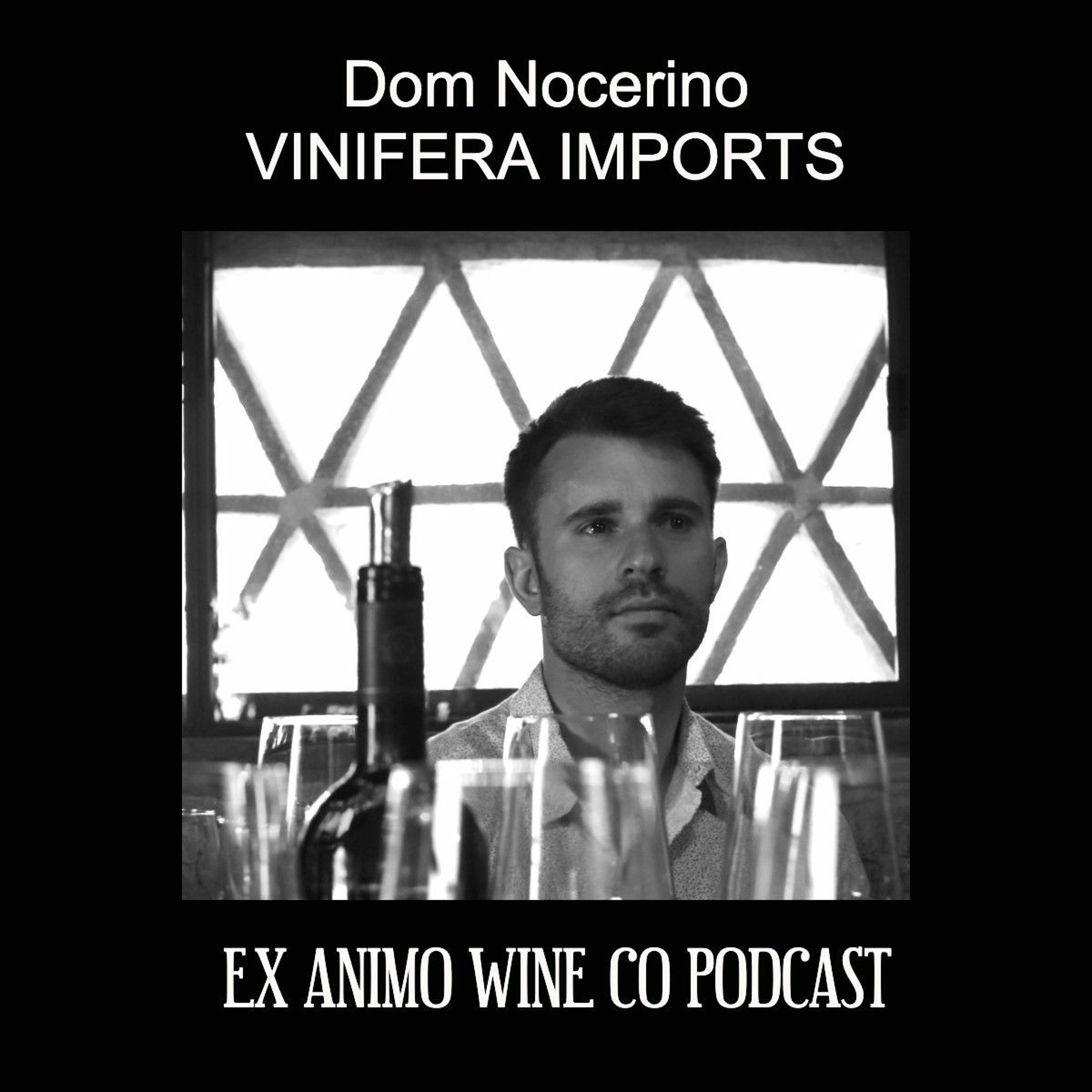 Dom Nocerino, Vinifera Imports