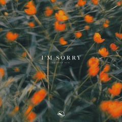 Second Sun - I'm Sorry