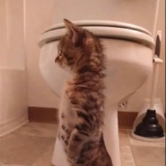 old carti x asap rocky type beat - "starstruck"