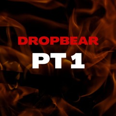 DropBear Part 1