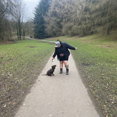 If the world was ending COVER