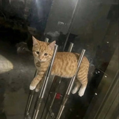 2026 클럽 EDM 믹셋 2