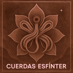 Cuerdas Esfínter