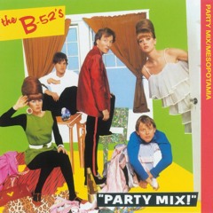 Private Idaho (Party Mix)