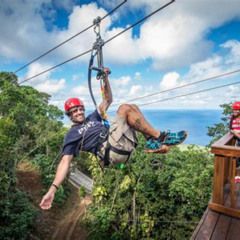 Review Special Price Tree Limin Extreme Zipline