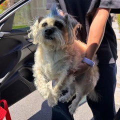 songs im [33roaa] on <33