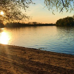 Max @ sunset patio party 2023 snippet