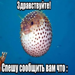 Я ЕБАЛ ПОЛ МИРА (feat. MC КЛИТОРАЛЬНЫЙ БУР)