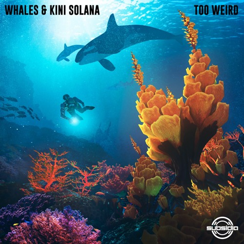 Whales & Kini Solana - Too Weird