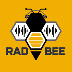 Rad Bee VO Demo - Characters March 2025