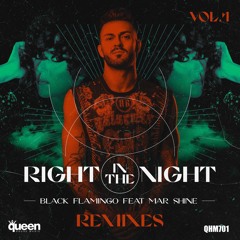 Black Flamingo Feat. Mar Shine - Right In The Night (Julian Gil Remix)