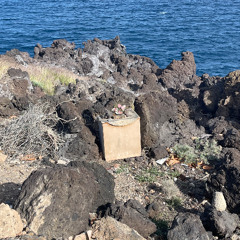 Los Cristianos