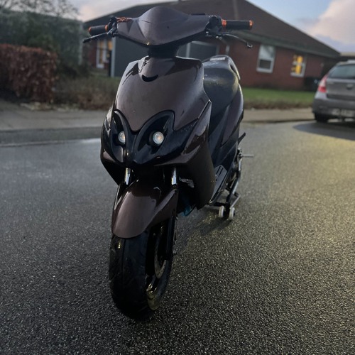 Tjæreborg Sorte penge