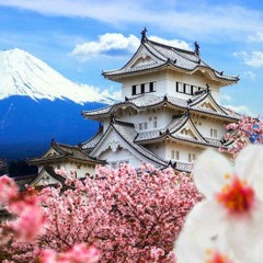 Japanese Hiphop (Prod by. Don Tiirikainen & Kettu) (SOLD)