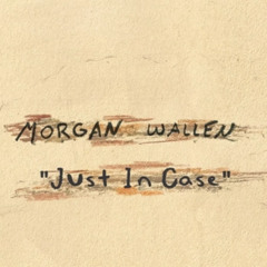 Morgan Wallen X T-Pain - Just In Case (I'm N Luv Wit A Stripper) - Tecniq Edit