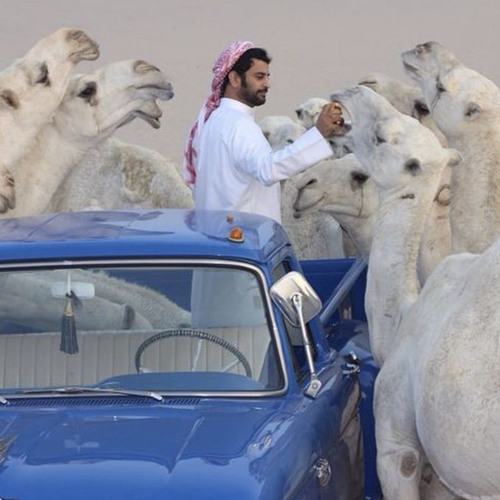 أحبه ولا لي  من ورا محبته مصلوح  -سعد علوش