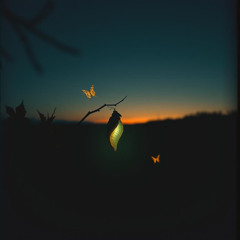 Hecate’s Butterfly Dawn