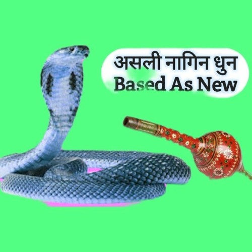 Nagin gana new arrivals