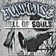 FunkWise - Well Of Souls (link in description)