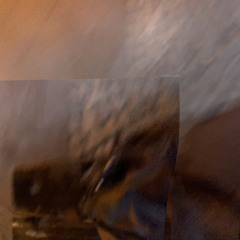 Hoffnung (2019) mikroschrei