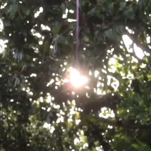 Dream Gurl (feat. Profound$peck)