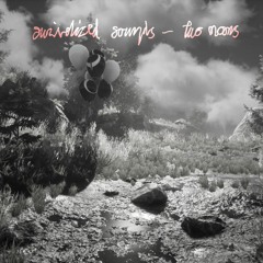 swiʌelized souηds - two moons