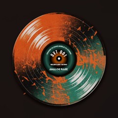 Analog Rage - Demons To Some, Angels To Others
