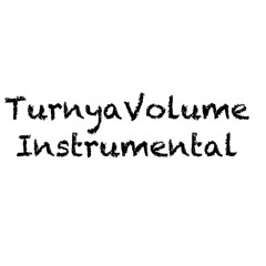 TuneYaVolume