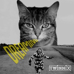 Twinnnix - Dreaming