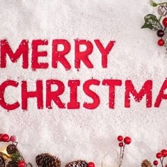 🦁❤️ - Christmas time