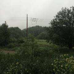 Konsten att kartlägga ögon