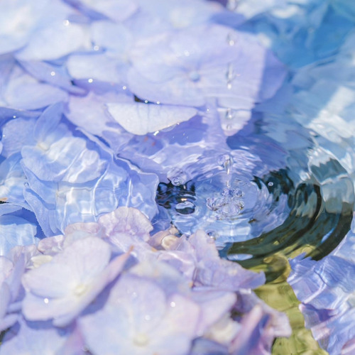 memory (feat. venny)