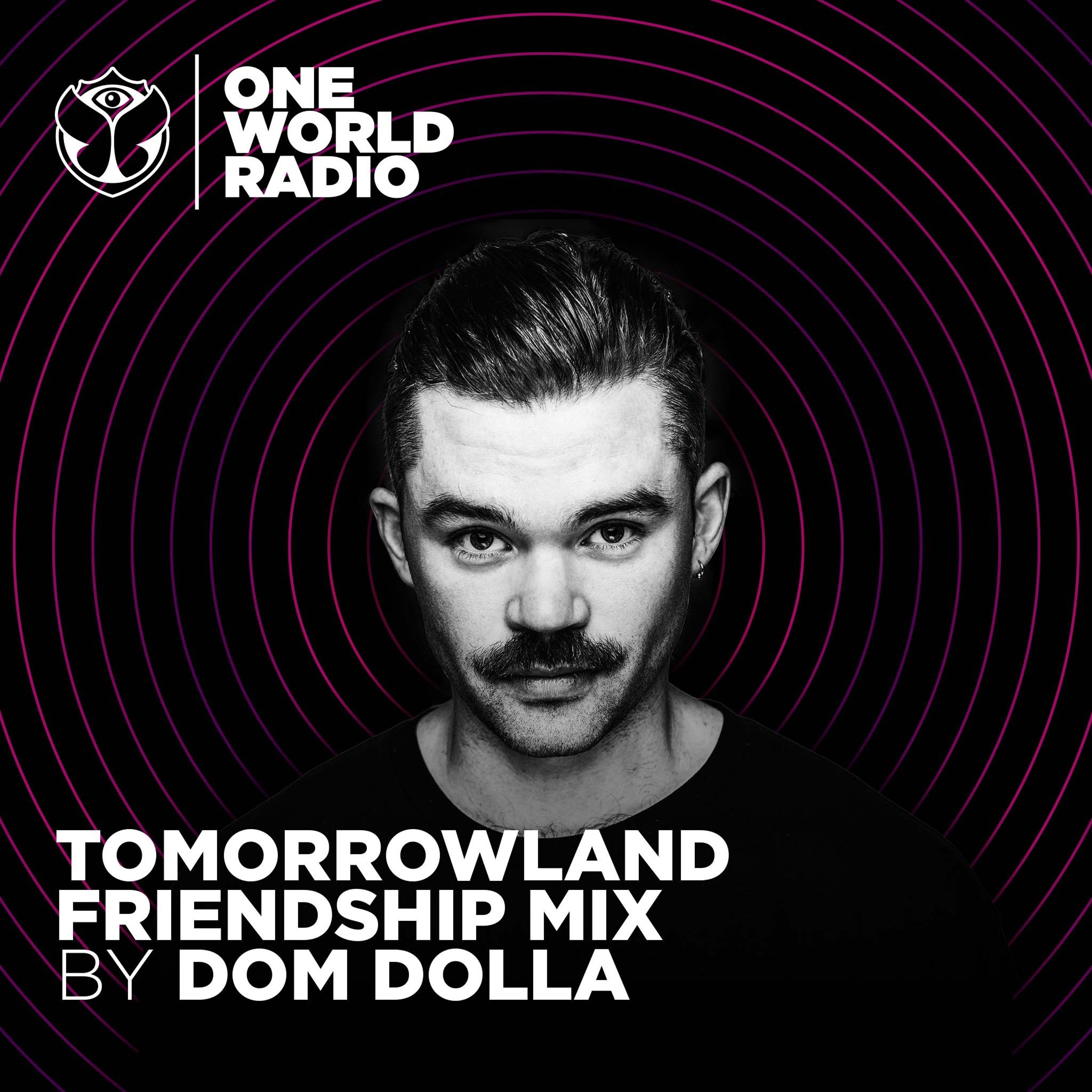 Tomorrowland Friendship Mix - Dom Dolla