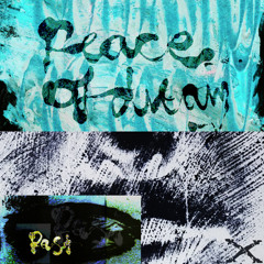 Peace Of Dream - Past (DIGISTEP2)
