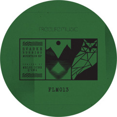 PREMIERE: Svarke - Burning Mountain (Melos Dyne Remix) [FLM013]