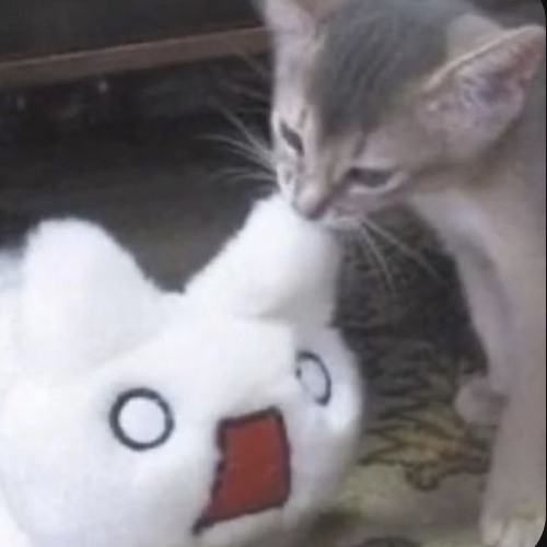 うゆー