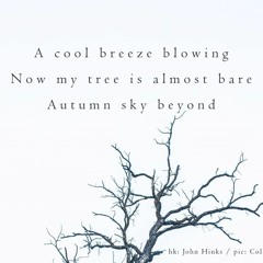 Bare Trees, Autumn Sky - Naviarhaiku415